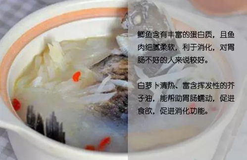 绿尚昌森治疗灰指甲好吗 绿尚昌森的功效 绿尚昌森治疗灰指甲好吗 绿尚昌森的功效