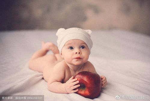 Ԥ�������ЩС�ؾ� 