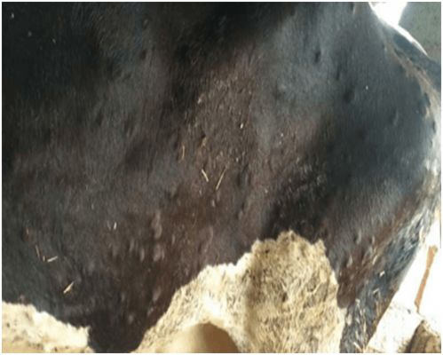 ��ʲô�����