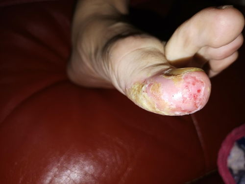 ϺʪҽԺļҺ ϺиʪҽԺ