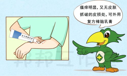 �������Ĳ�����ʲô