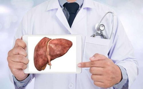 ϴ���������շ��