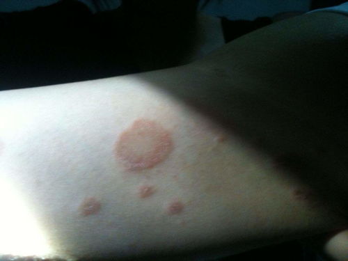 王一博两部剧都播不了 王一博两部剧都播不了