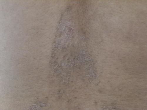 ļҽԺ ôʹûƷ