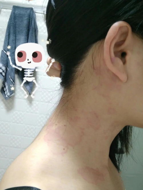 �����н���������ô��  ����С����