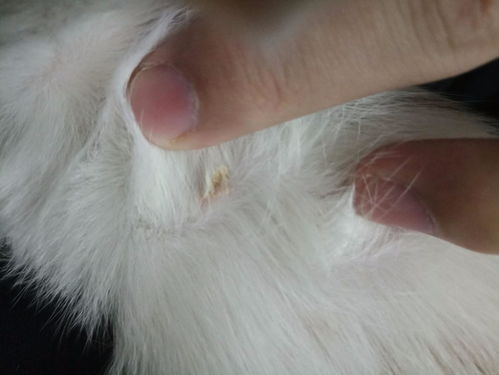 海滩晒伤怎么办 海滩晒伤怎么办