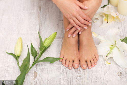 ��ָ������Щ�������׻��� ����ѻ�ָ�׿������������ֲ�