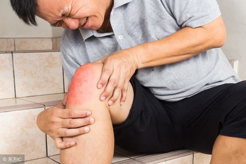 ǳ����ָ�׵�ʳ�Ʒ���