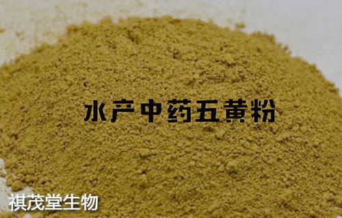 ݡ�������Ҫע��ʲô ݡ������ճ����������