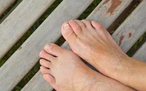 �෢��ݡ������ô���ƺ���