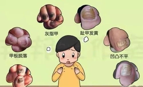 ����ݡ����ͼƬ