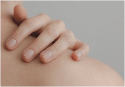 ����ݡ��������Ʒ���