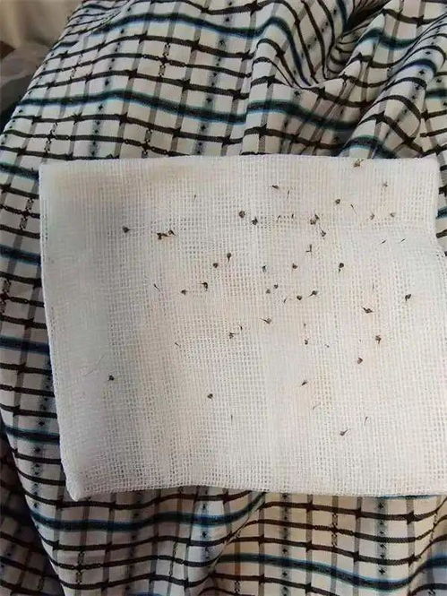 ����ݡ��������Ʒ���