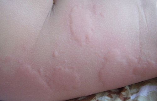 �����С���׻�ݡ������