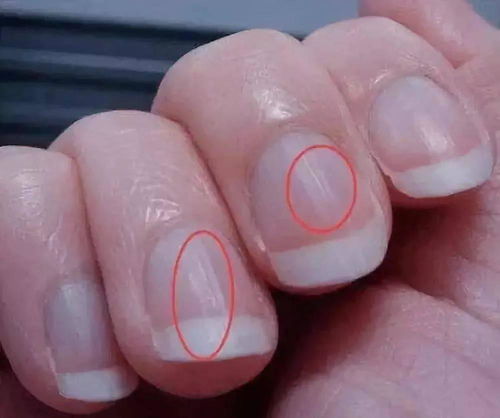 ������ݡ������ô�� 