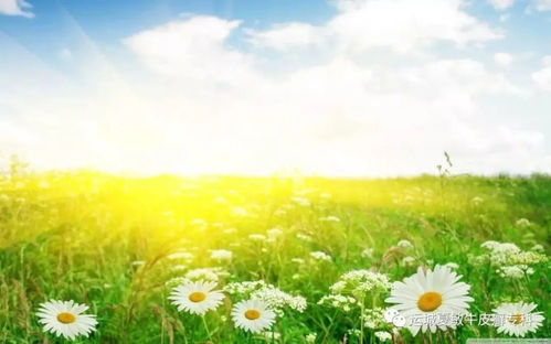 出脚气严重怎么办 出脚气严重怎么办