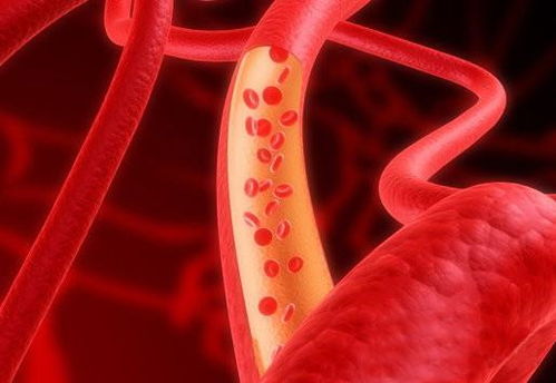 �и�ʪ��Ӱ��̥����