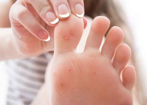 ��ɽ��ӰԺ ��ɽ��ӰԺ���շ�ӳ��