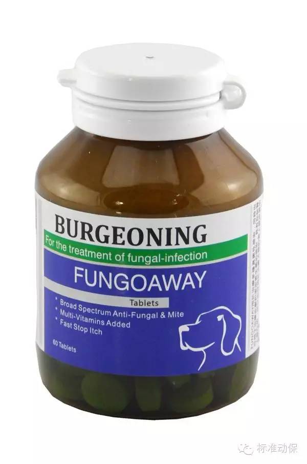 下巴两边长痤疮该怎么办 芜湖治疗痤疮到哪里好 下巴两边长痤疮该怎么办 芜湖治疗痤疮到哪里好