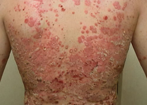 抗燃液压油 磷酸脂抗燃液压油 抗燃液压油 磷酸脂抗燃液压油