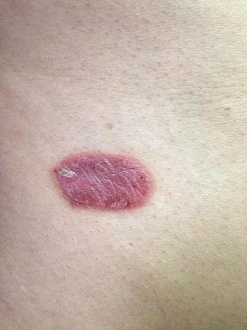 ʪ�����ʳ�Ʋſ��� 