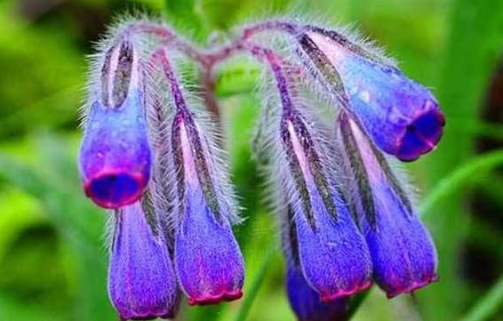 脚气一般用什么药膏治疗好 脚气病用药请收藏 脚气一般用什么药膏治疗好 脚气病用药请收藏