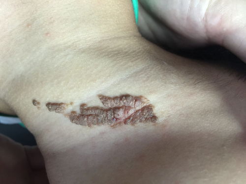 ʪ����ô���������ƺ�