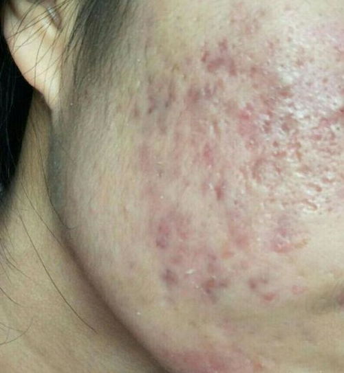 ���ֻ����ν��������