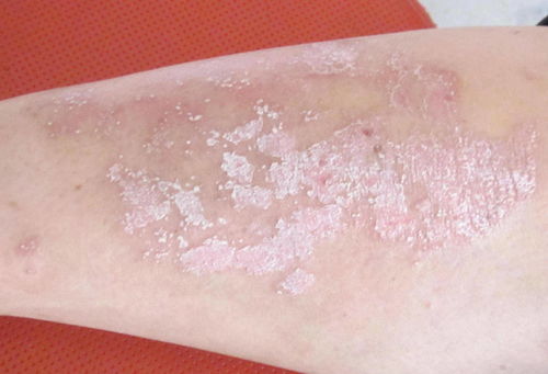 �����ݽ�ˮ��_����ˮ����������