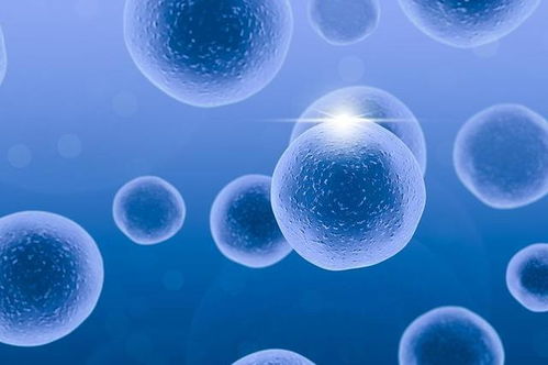 治疗灰指甲的一些偏方 治疗灰指甲的一些偏方