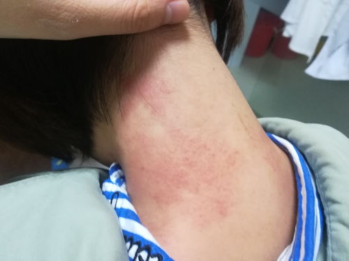 ���������Գ�ţ������