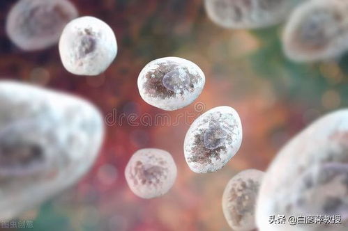 �����ڿ����������ʪ��