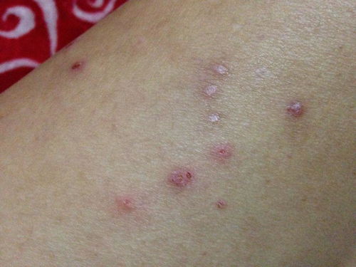 ����ˮ�ݻ᳤���������