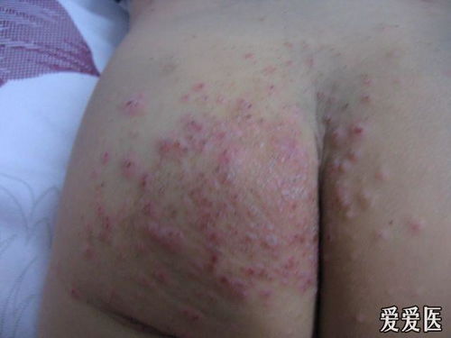 唐梓身高实际身高多少 唐梓身高实际身高多少