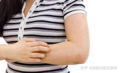 ҽ�þƾ�����_ҽ�þƾ������