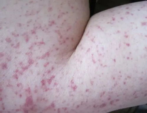 ���̲����˲��ܳ�ʲô