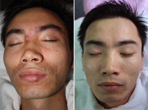 ��������������ʪ��