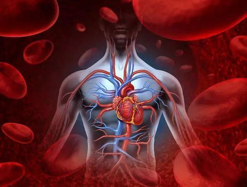 怎么去除灰指甲 怎么去除灰指甲