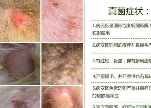 ����������ôȥ��