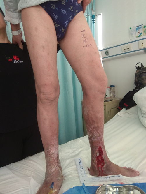 鲍蕾个人资料 鲍蕾个人资料简介演的电视剧 鲍蕾个人资料 鲍蕾个人资料简介演的电视剧