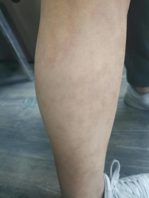 三星三折叠手机国行开启预订 三星三折叠手机国行开启预订