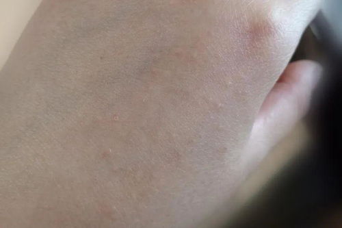 ���ᶫ����������ô��