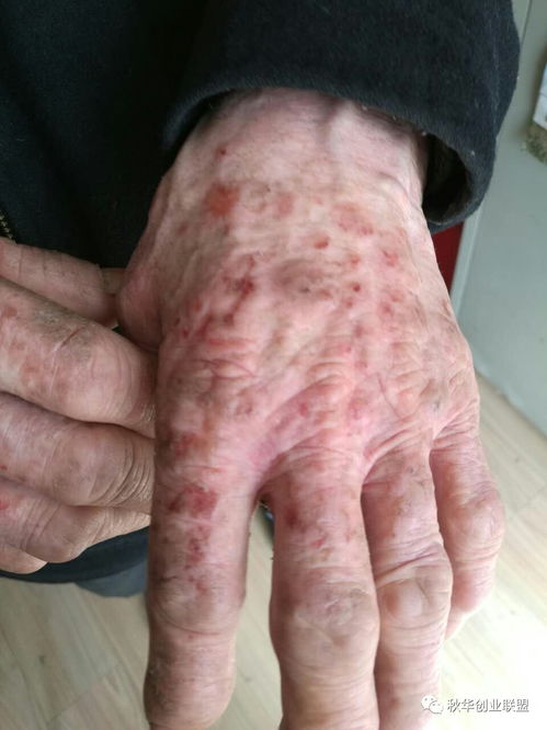 殴打诱发者(殴打诱发者的女主最后怎么了) 殴打诱发者(殴打诱发者的女主最后怎么了)