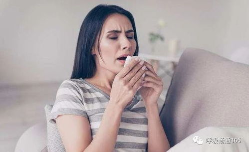 �˴�����Щ��ţƤѢ�� ţƤѢ�����⼸��ʳ��