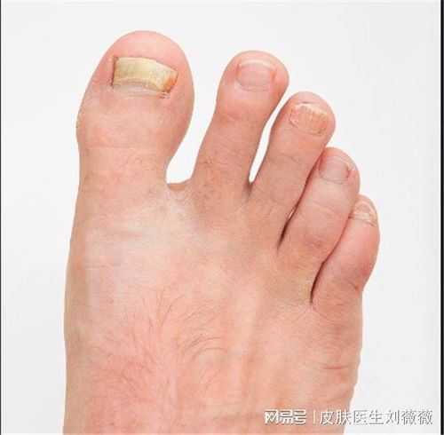 ţƤѢ�߿��ԳԺ����� 