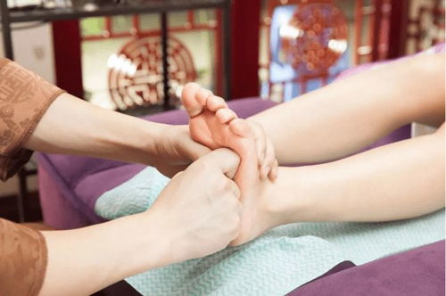 ����ţƤѢ����ʳ�Ƶ���