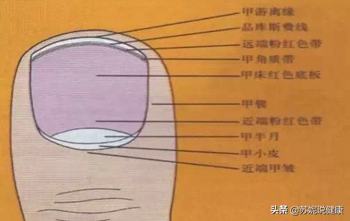 女右下腹部胀疼的原因 女右下腹部胀疼的原因