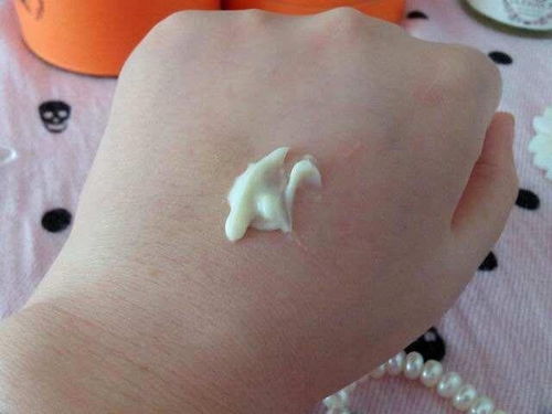 ����ţƤѢ�����ι���