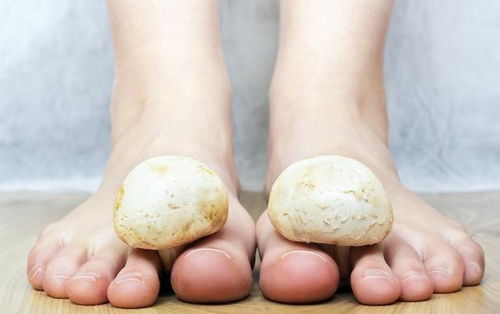 ��̨�ĸ�ţƤѢ�β��� ţƤѢ�����ڼ���ʲô����