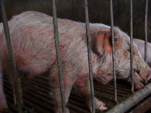 Ƥ��ʪ����ʲôϴ��